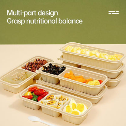 Biodegradable Corn Starch Meal Prep Containers Lids Durable Multi Compartment - C2A