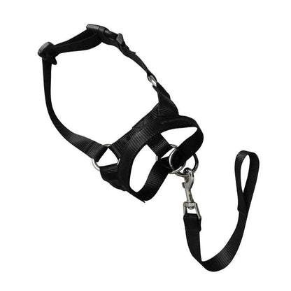 Black Dog Training Head Collar Halter Stop Pulling Training Tool Harness Strap Leader - M