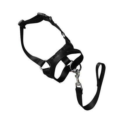Black Dog Training Head Collar Halter Stop Pulling Training Tool Harness Strap Leader - L