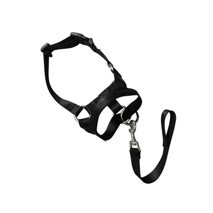 Black Dog Training Head Collar Halter Stop Pulling Training Tool Harness Strap Leader - XXL