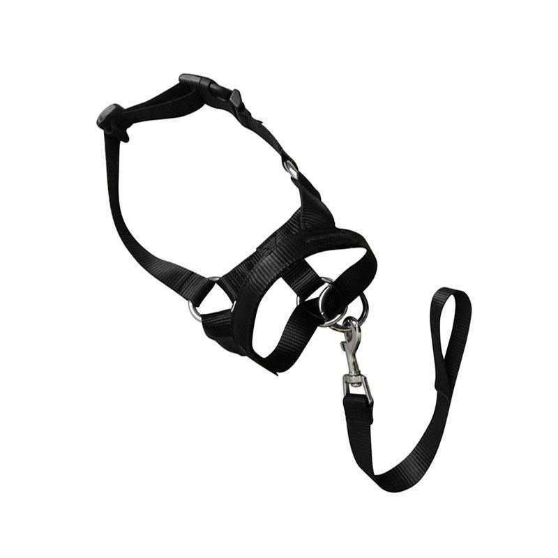 Black Dog Training Head Collar Halter Stop Pulling Training Tool Harness Strap Leader - XXL