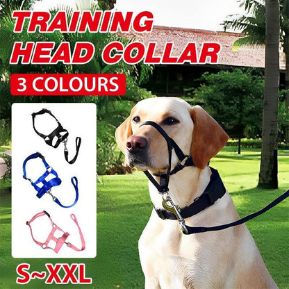Pink Dog Training Head Collar Halter Stop Pulling Training Tool Harness Strap Leader - L
