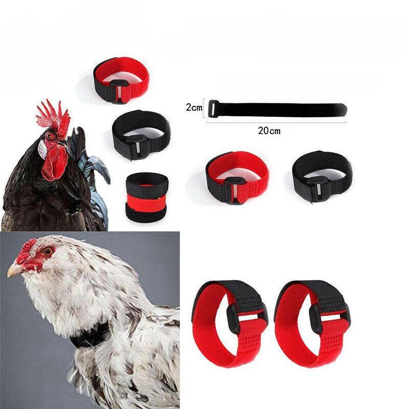 10pcs Rooster Anti Crow Collar Adjustable Nylon Neck Belt Poultry Sound Control - Red