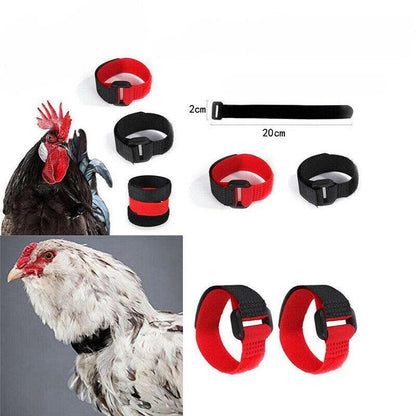 10pcs Rooster Anti Crow Collar Adjustable Nylon Neck Belt Poultry Sound Control - Red