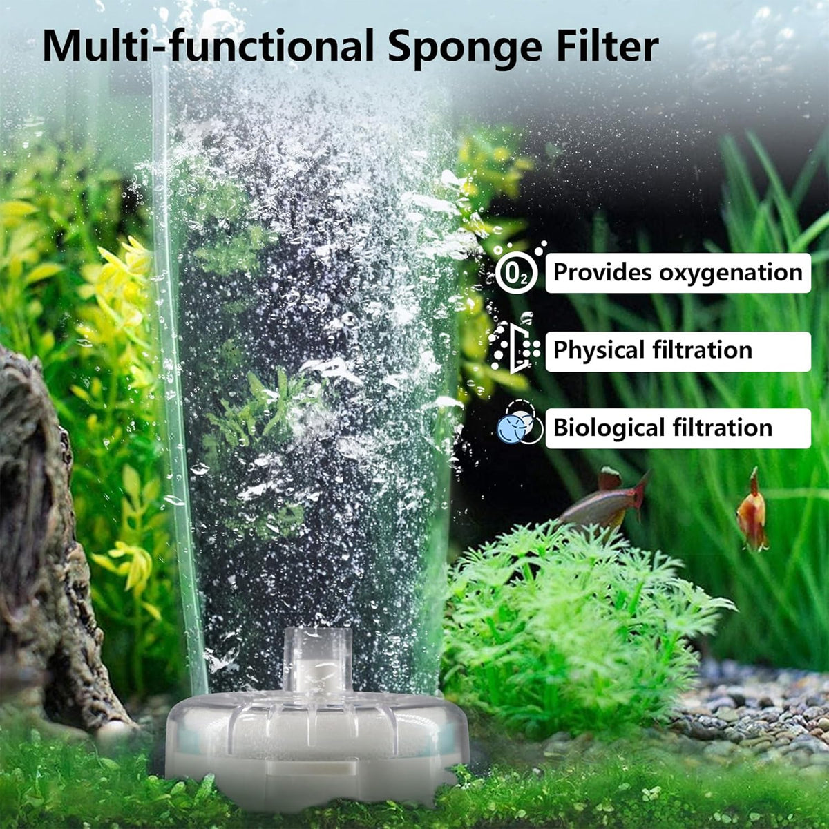 Aquarium Filter Special Mini Small Tank Filter Circle for Freshwater or Marine - 10cm Filter