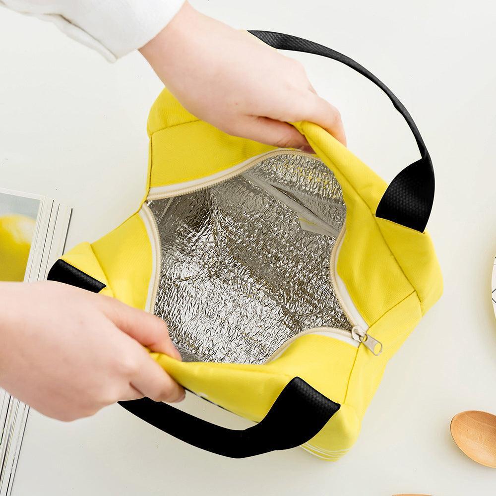 Portable Insulated Thermal Lunch Box Carry Tote Picnic Case Storage Bag 21x17x15cm - C06 (21x17x15cm)