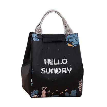 Portable Insulated Thermal Lunch Box Carry Tote Picnic Case Storage Bag 18x24x15cm - E03 (18x24x15cm)