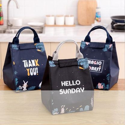 Portable Insulated Thermal Lunch Box Carry Tote Picnic Case Storage Bag 18x24x15cm - E05 (18x24x15cm)