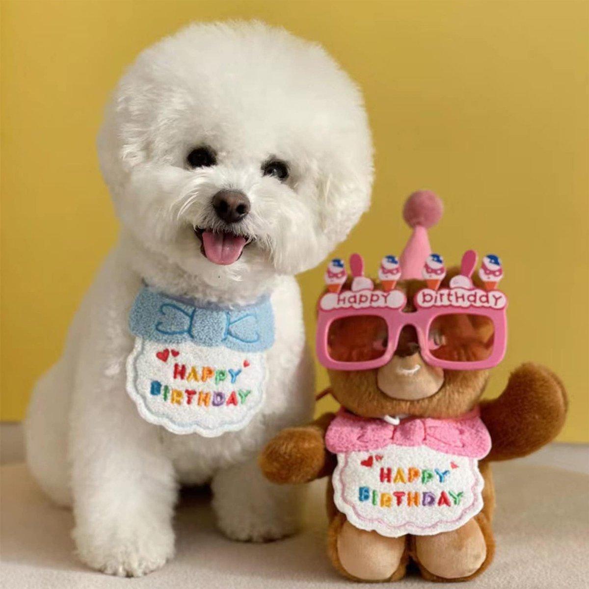 Pet Birthday Dog Cat Bib Scarf Hat Accessory Dogs Cats Celebration - Sky Blue