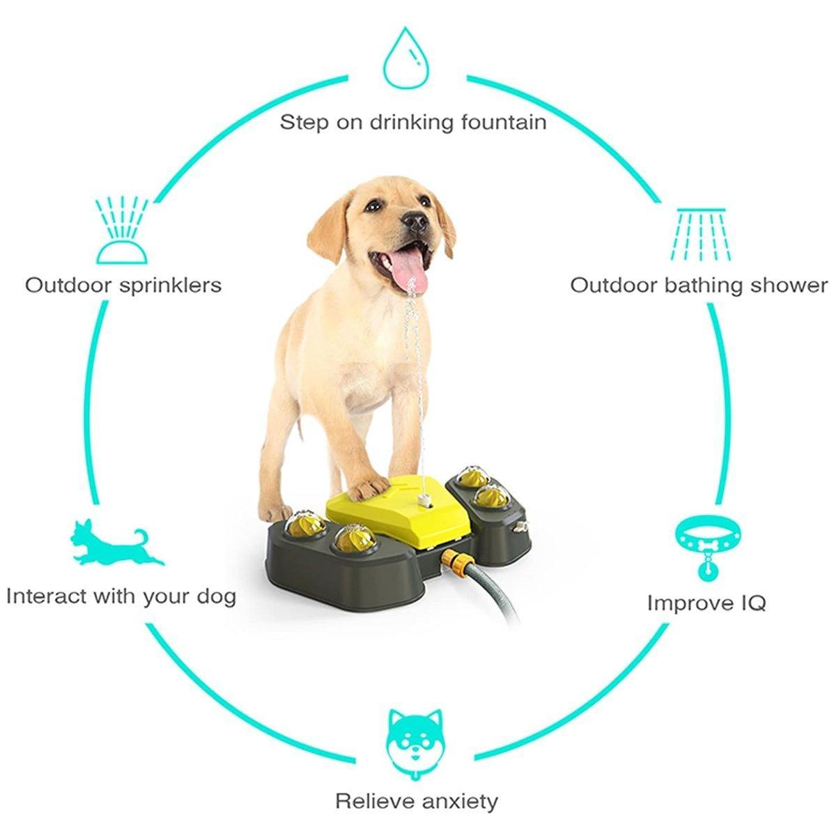 Automatic Water Feeder Dispenser with Bath Spray and Footstep Dog Toys for Pets - Blue