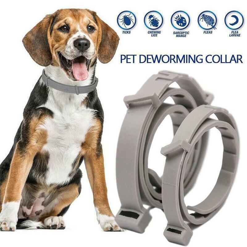 Adjustable Flea and Tick Collar for Dogs and Cats with Natural Repellent - Blue