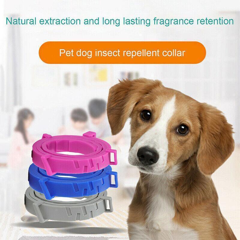 Adjustable Flea and Tick Collar for Dogs and Cats with Natural Repellent - Blue