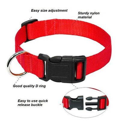 XS Size Dog Puppy Pet Collar Adjustable Nylon Toy Pink Blue Red Black - Grey
