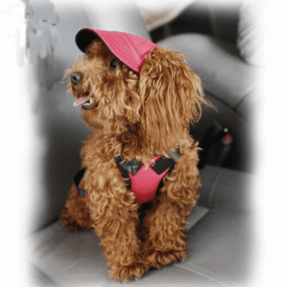 Dog Baseball Cap Outdoor Pet Sun Hat Summer Canvas Visor Puppy S Size - Stripe