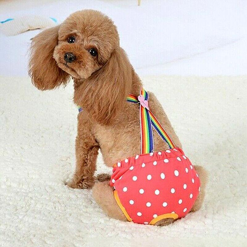 Female Pet Dog Cat Puppy Pant Menstrual Sanitary Nappy Diaper Wrap Underwear Blue - S