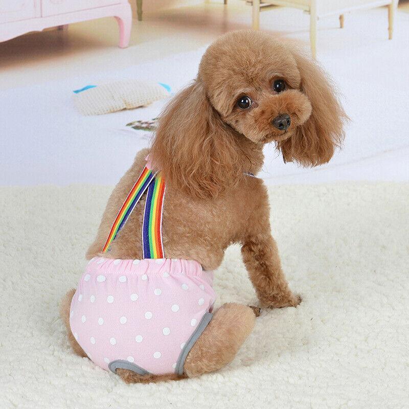 Female Pet Dog Cat Puppy Pant Menstrual Sanitary Nappy Diaper Wrap Underwear Blue - XS