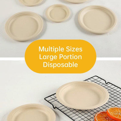 100x Biodegradable Sugarcane Paper Trays - Eco-Friendly & Durable for  Food - 7inches-100pcs