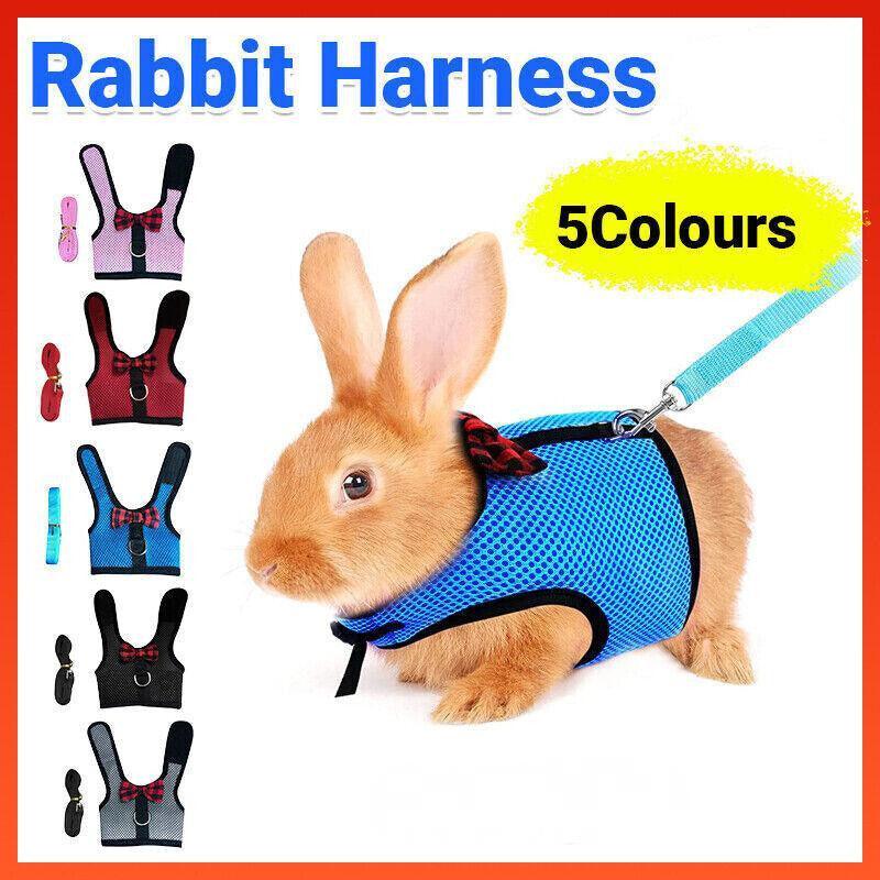 Rabbit Vest Harness Leash Lead Small Animal Pet Mesh Hamster Bunny Traction Rope L - Pink