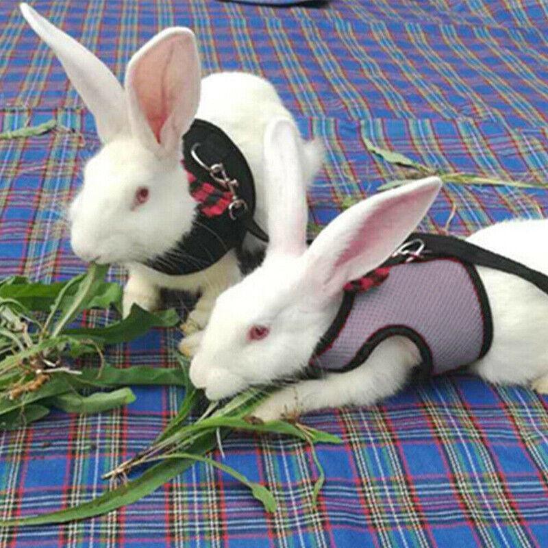 Rabbit Vest Harness Leash Lead Small Animal Pet Mesh Hamster Bunny Traction Rope S - Pink