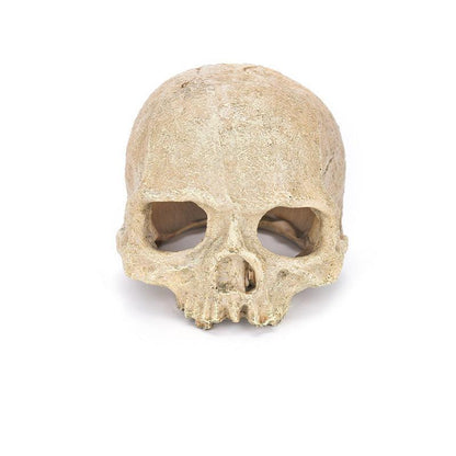 Artificial Fake Skull Head Bone Aquarium Ornament Fish Tank Decoration - Pirate