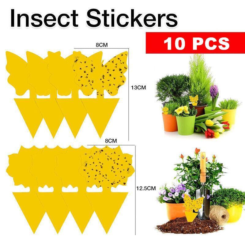 10X Dual Sided Sticky Trap Insect Killer Whitefly Thrip Fruit Fly Gnat - Sunflower 10PCS