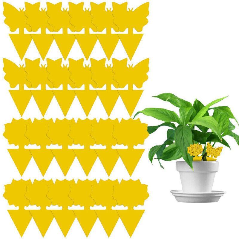 10X Dual Sided Sticky Trap Insect Killer Whitefly Thrip Fruit Fly Gnat - Sunflower 30PCS