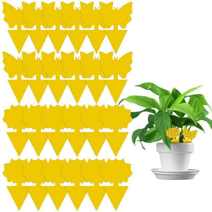 10X Dual Sided Sticky Trap Insect Killer Whitefly Thrip Fruit Fly Gnat - Sunflower 50PCS