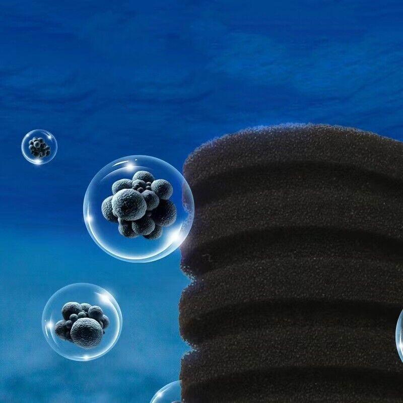 Double Head Aquarium Sponge Filter with Bio Media Box for Shrimp Breeding Tanks