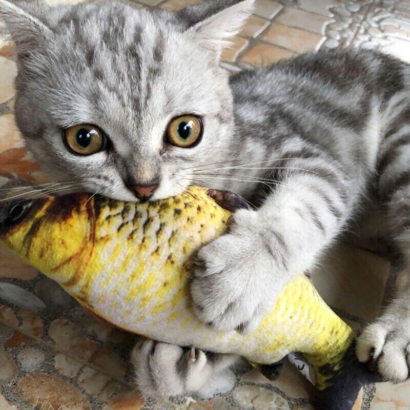 Electric Dancing Fish Kicker Cat Toy Wagging Realistic Moves Usb Rechargeable Au - Grass Carp