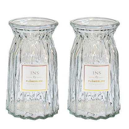 2 Pcs Glass Vase Hydroponic Flower Arrangement Vase for Living Room Decoration - Transparent