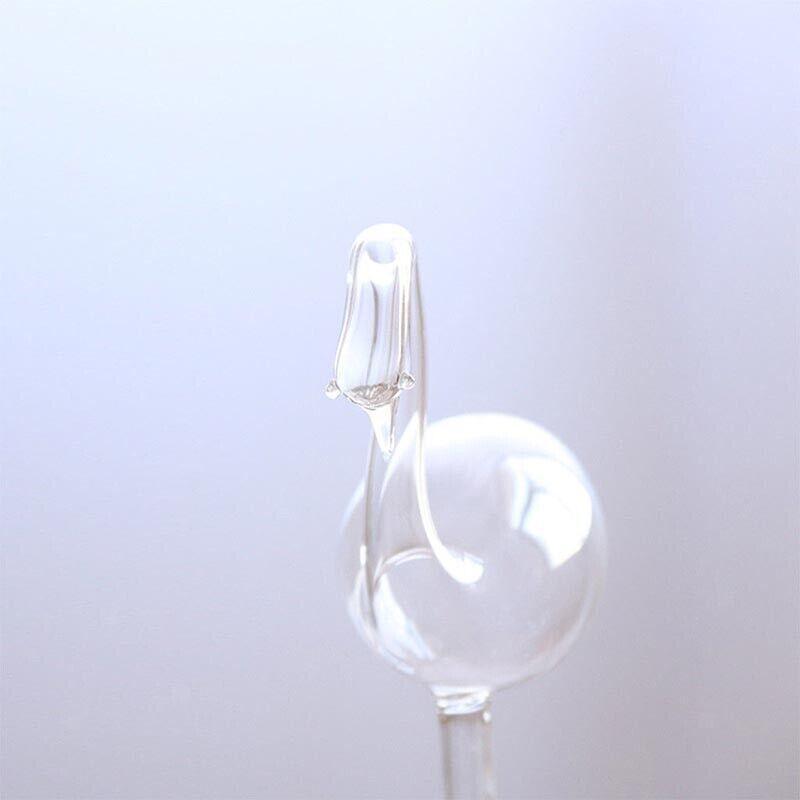 Automatic Self Plant Watering Glass Bulbs Water Feeder Indoor Irrigation Outdoor - Pentagram