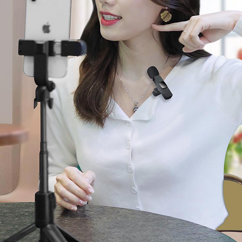 Wireless Lavalier Microphone Mini Mic For Android iPhone iPad Vlog Live Stream - Type-C to computer (Without Microphone)