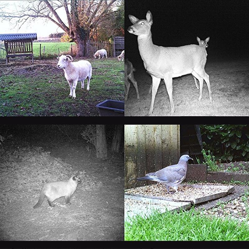8Mp Waterproof Trail Camera With Night Vision And Wide Angle Lcd