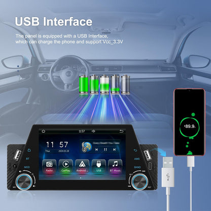 5 Inch Car Multimedia Player - Mirror Link / Steering Wheel Control - Standard