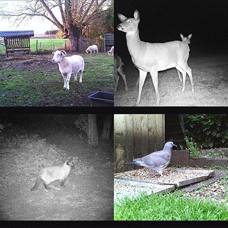 16Mp Waterproof Trail Camera With Night Vision And Wide Angle