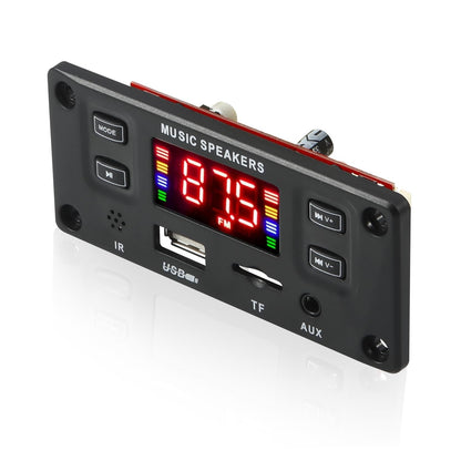 Bluetooth Power Amp Board For Lossless Recording - Call Compatible