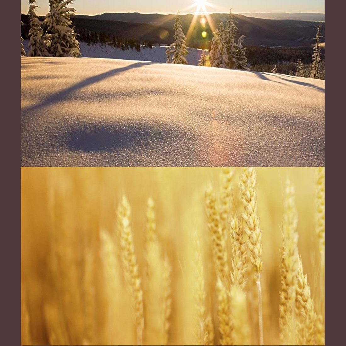 Professional 40.5mm Lens Filter Kit for Gopro Hero4 / 3 / 3+ with Waterproof Housing and Adapter Ring