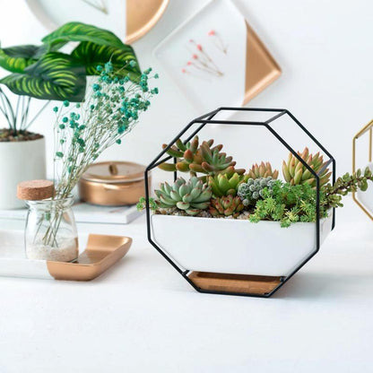 Geometric Wall Hanging Table with Bamboo Support and Iron Frame for Succulents - Gold