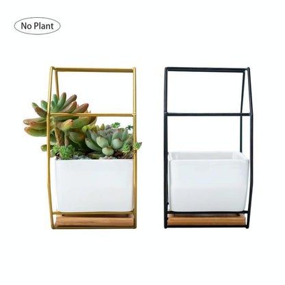 Geometric Wall Hanging Table with Bamboo Support and Iron Frame for Succulents - Gold