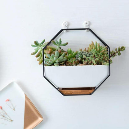 Geometric Wall Hanging Table with Bamboo Support and Iron Frame for Succulents - Gold