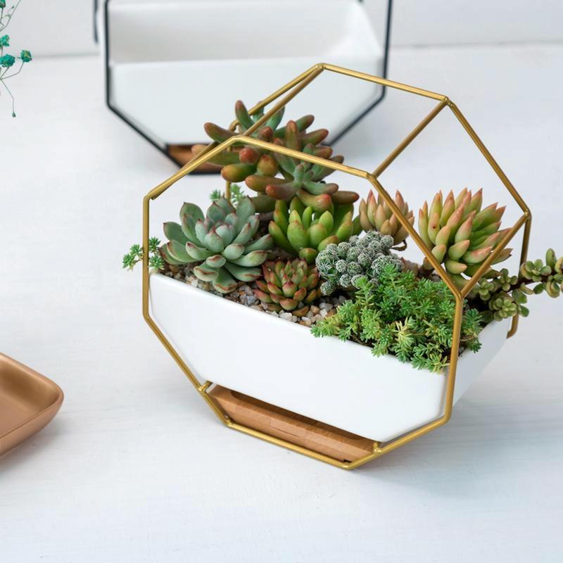Geometric Wall Hanging Table with Bamboo Support and Iron Frame for Succulents - Black