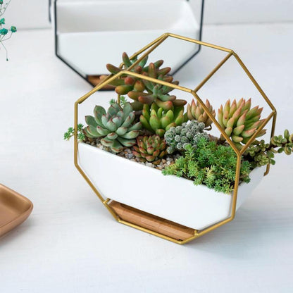 Geometric Wall Hanging Table with Bamboo Support and Iron Frame for Succulents - Black