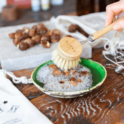 Bamboo Dishwashing Brush | Eco Dish Brush with replaceable head