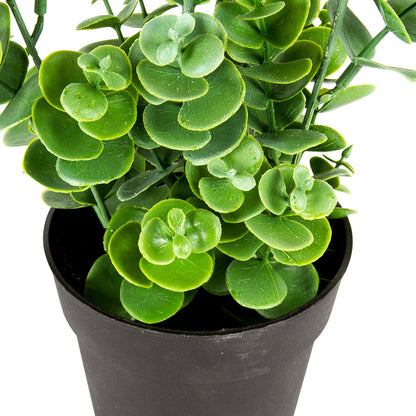 Potted Artificial Eucalyptus Plant 27cm