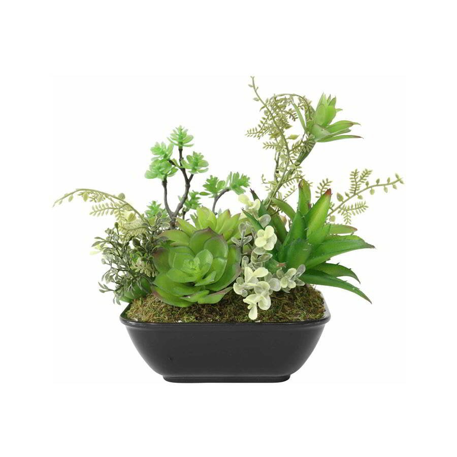 Set 2 Asst Potted Artificial Succulents 19cm
