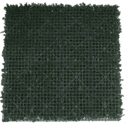 Premium Natural Buxus Hedge Panels UV Resistant 1m X 1m
