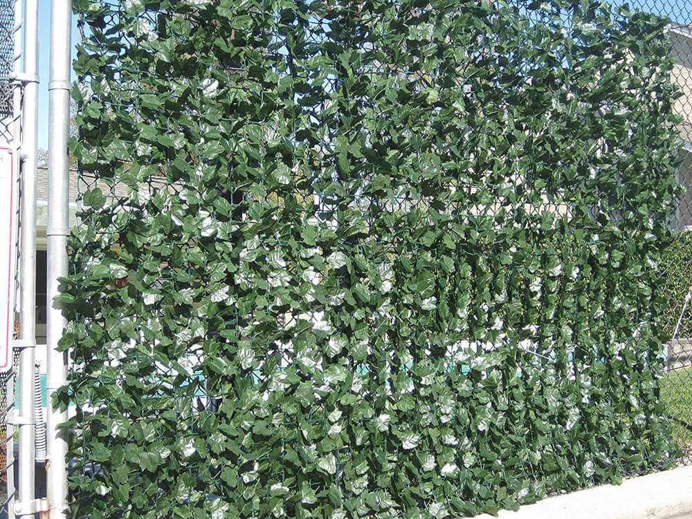 Double Sided Ivy Rolls 3m X 1m