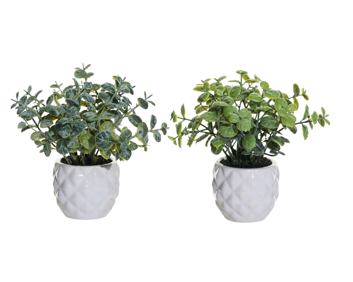 Set 2 Artificial Mini Greenery in Ceramic Pot 7x13cm