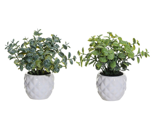 Set 2 Artificial Mini Greenery in Ceramic Pot 7x13cm