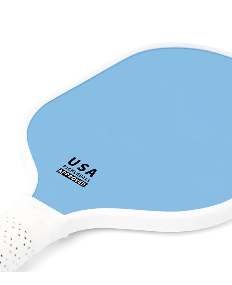 Blue Fiberglass Pickleball Paddle Set - 2 Minimalist Paddles, 4 Balls, and Carry Bag for Outdoor Play